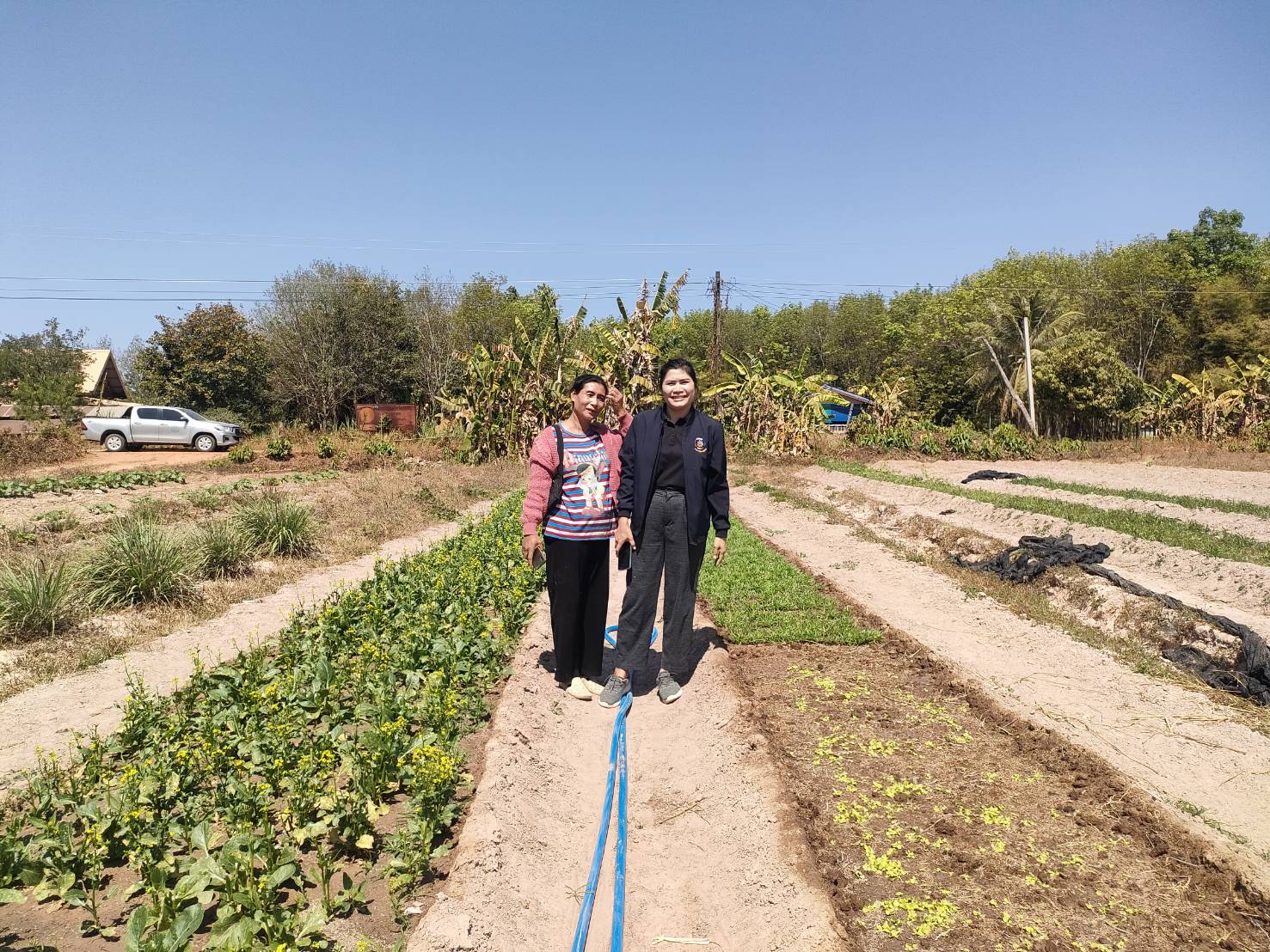 💐 พช.ดงหลวง : ลงพื้นที่ติดตามและประเมินความพร้อมของกลุ่มอาชีพ ก่อนเสนอโครงการขอรับการสนับสนุนเงินกองทุนพัฒนาบทบาทสตรี ประเภทเงินทุนหมุนเวียน (เงินกู้)