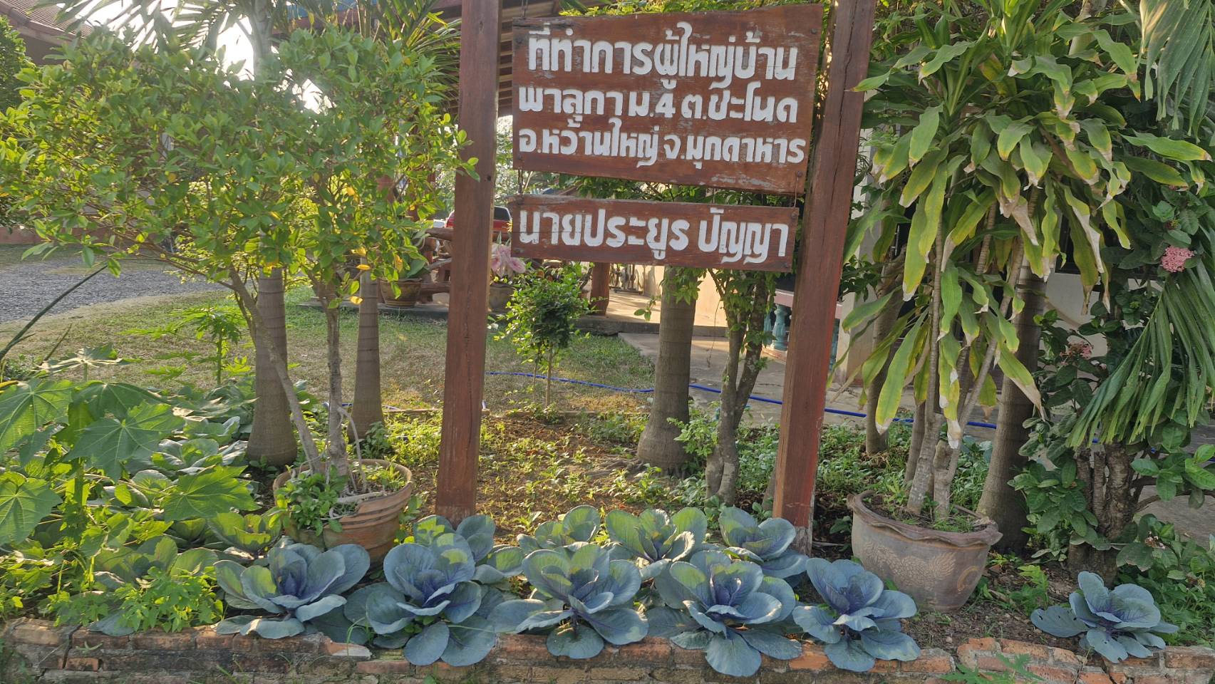 พช.ดงหลวง : ขับเคลื่อนกิจกรรม “ผู้นำต้องทำก่อน” ส่งเสริมการปลูกพืชผักสวนครัว รั้วกินได้